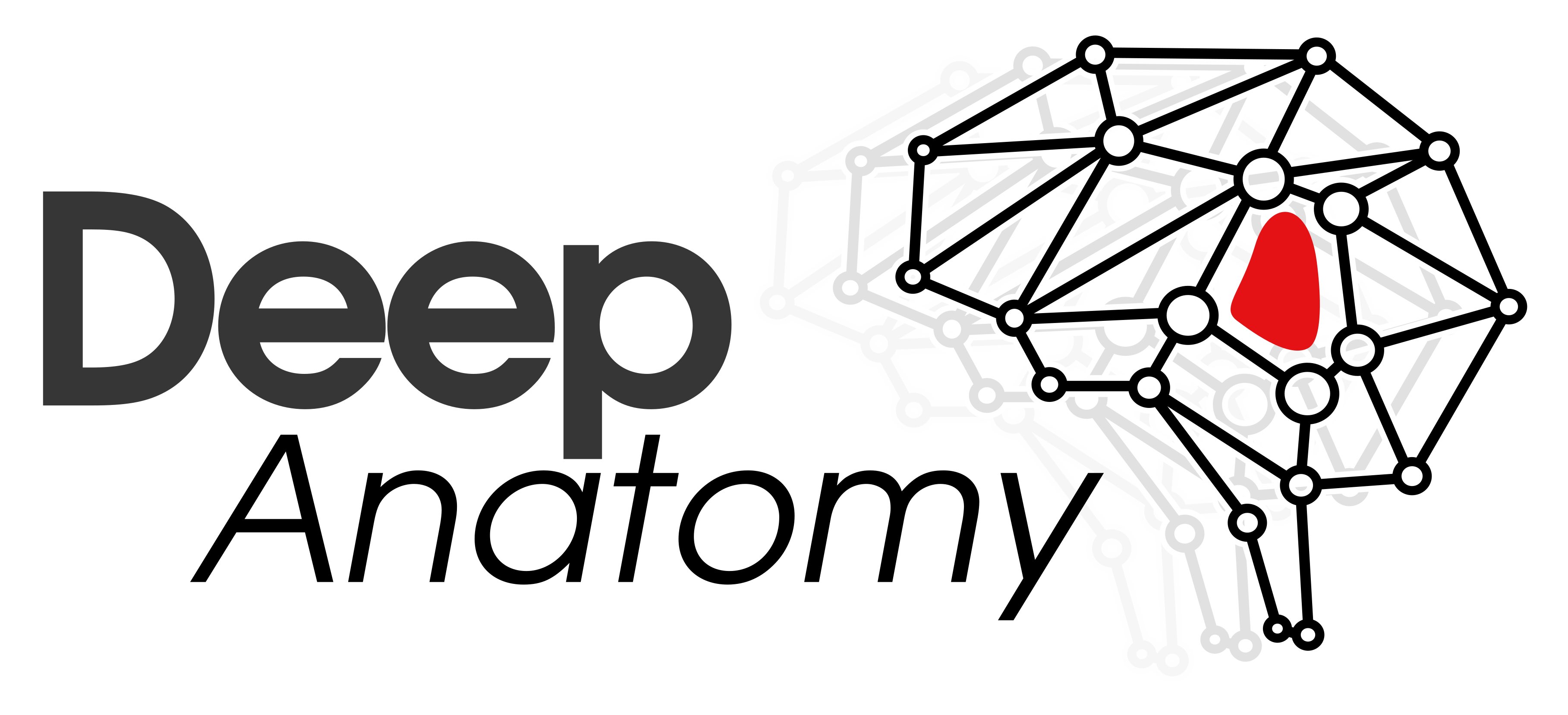 DeepAnatomy Logo